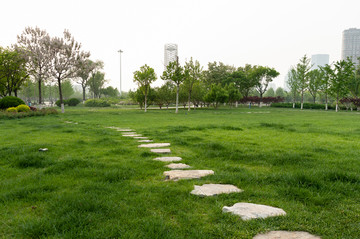 天津文化中心园林绿化