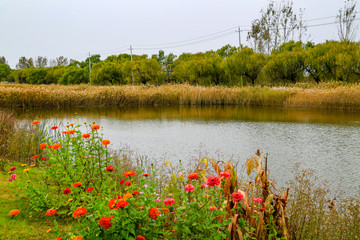 莱西涌泰湿地公园