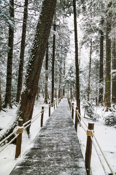 长白山