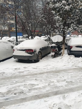 雪景