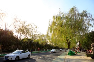 济南城市景观