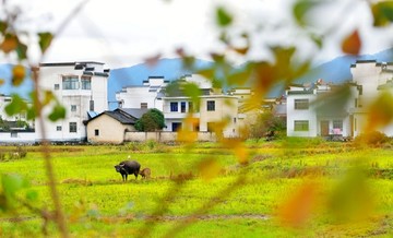 山村秋色