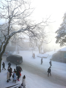 庐山雪景