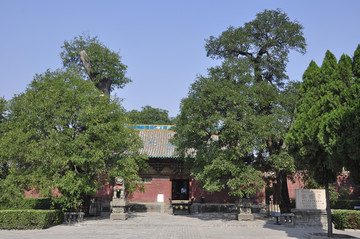 平遥镇国寺元代山门