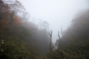 山间云雾