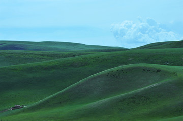 新疆草原牧场