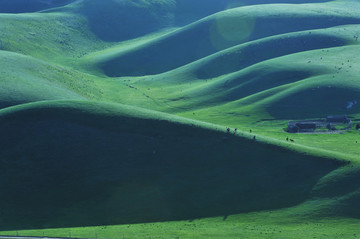 新疆草原牧场