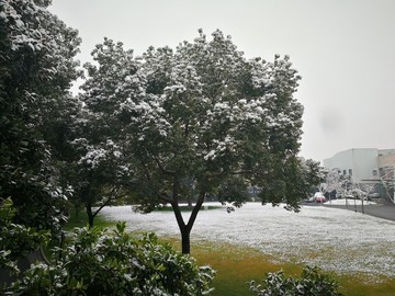 魔都上海朱家角古镇雪景