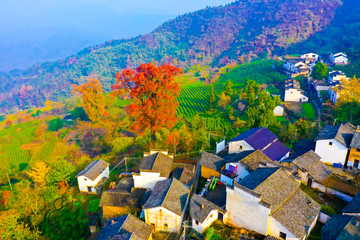 山村秋景