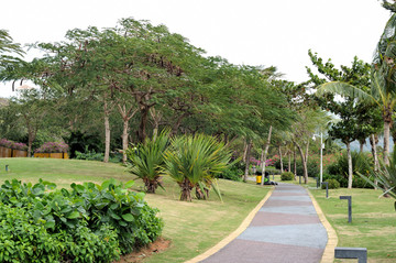 热带植物公园