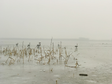 天鹅湖水墨画