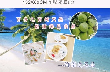 海南椰子矢量圖