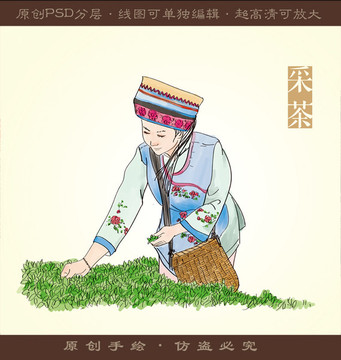 手繪采茶插圖