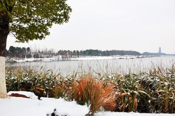 象湖雪景