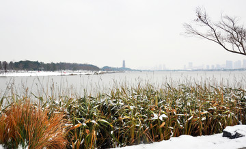 象湖雪景