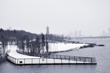 象湖雪景