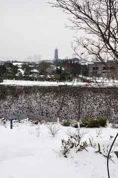 象湖雪景