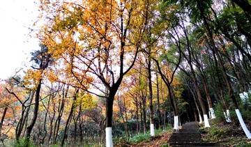 温州景山公园