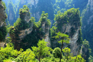 张家界砂岩峰林地质景观