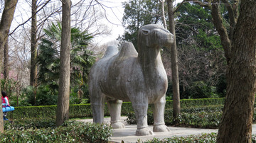 明孝陵神道石骆驼