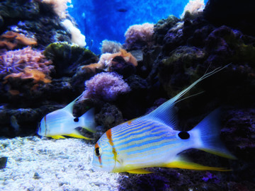 海底世界水族馆