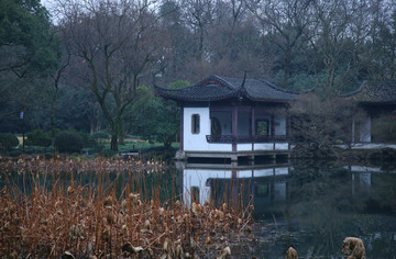 杭州曲院风荷景区