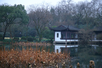 杭州曲院风荷景区