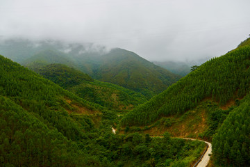 远山雾