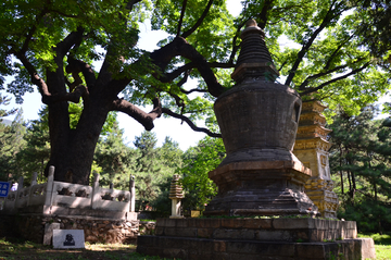 潭柘寺塔林