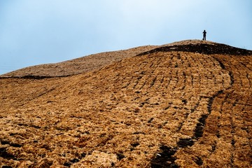 燎草工场