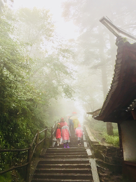 登山台阶