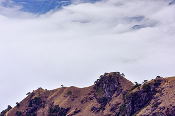 武功山