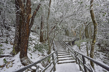 武功山风景区