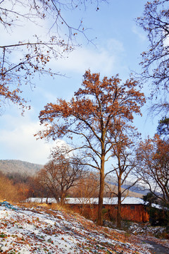 山村小屋雪景