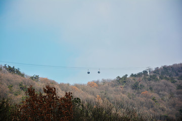 山林索道