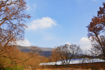 唯美田园生活场景