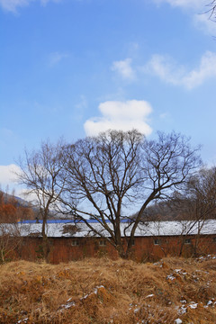 唯美天空与山林小屋