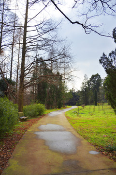 寂静小路