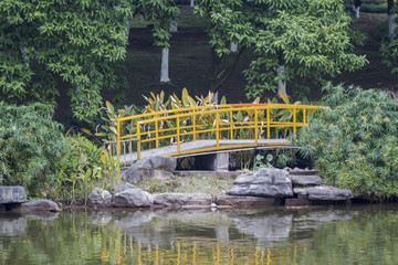 黄色的小桥