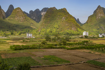 乡村风光