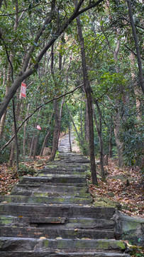 虎跑山道