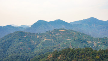 杭州虎跑后山龙井山