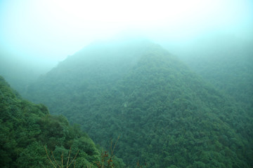 云雾庐山