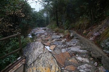 云雾庐山