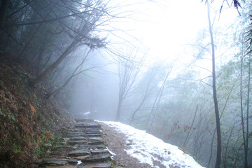 云雾庐山