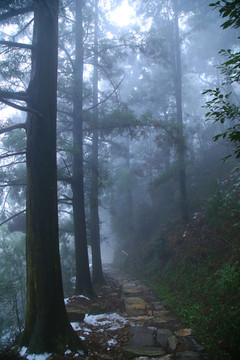 云雾庐山