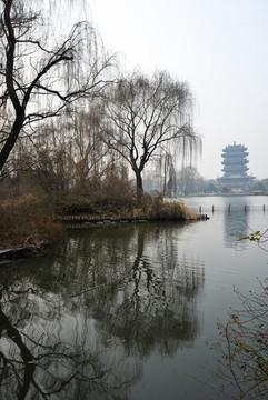 大明湖冬景