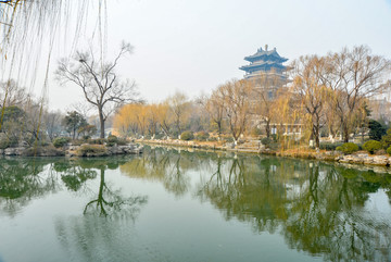 大明湖冬景