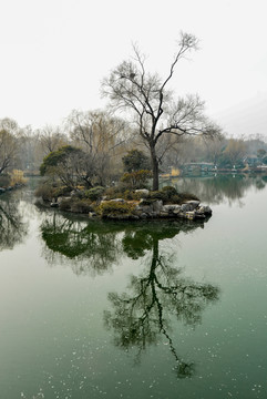 大明湖冬景