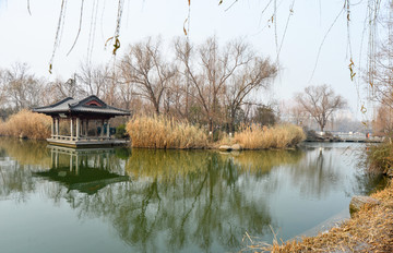 大明湖冬景